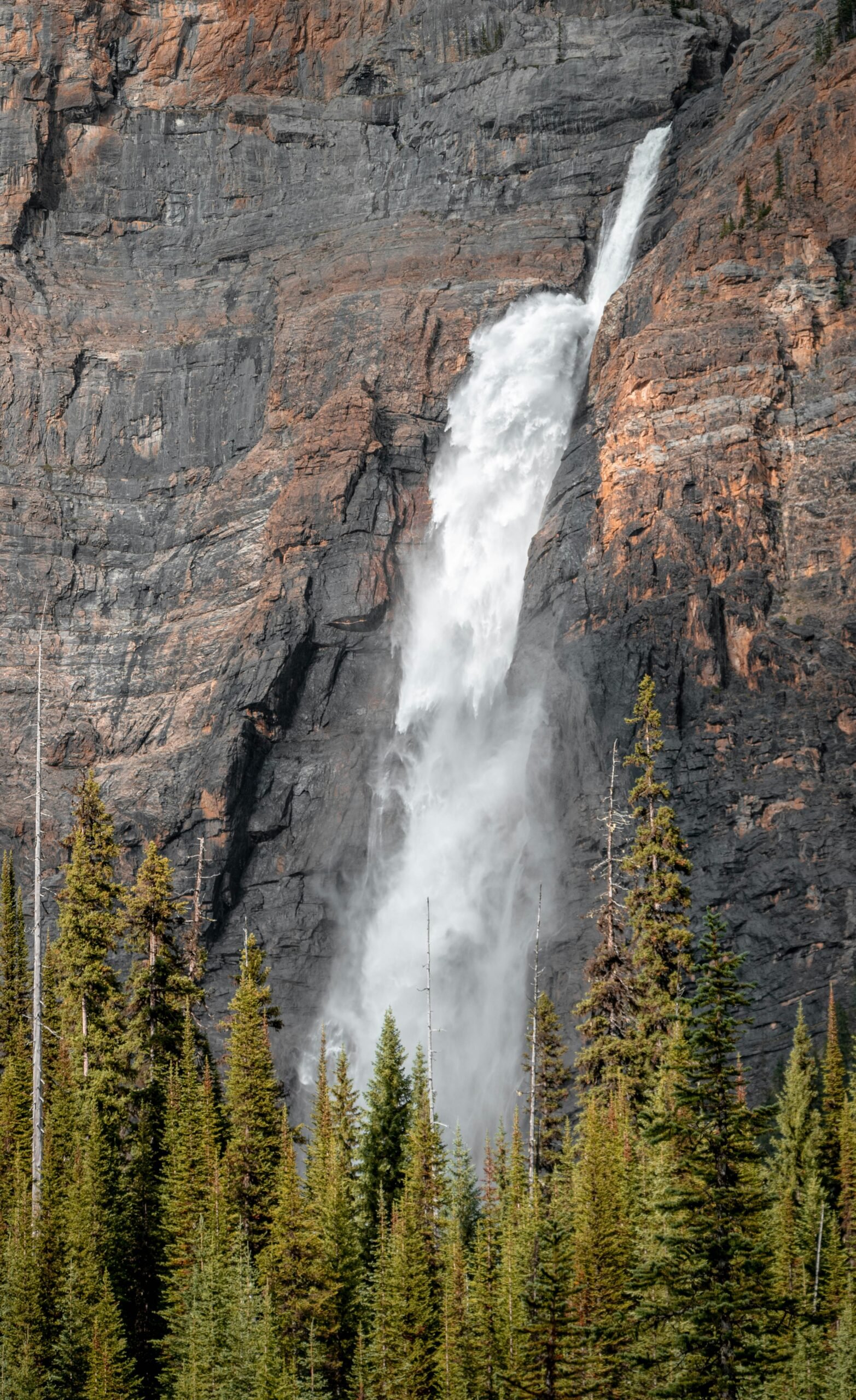 louis-paulin-Uq1_ZT6BGlE-unsplash