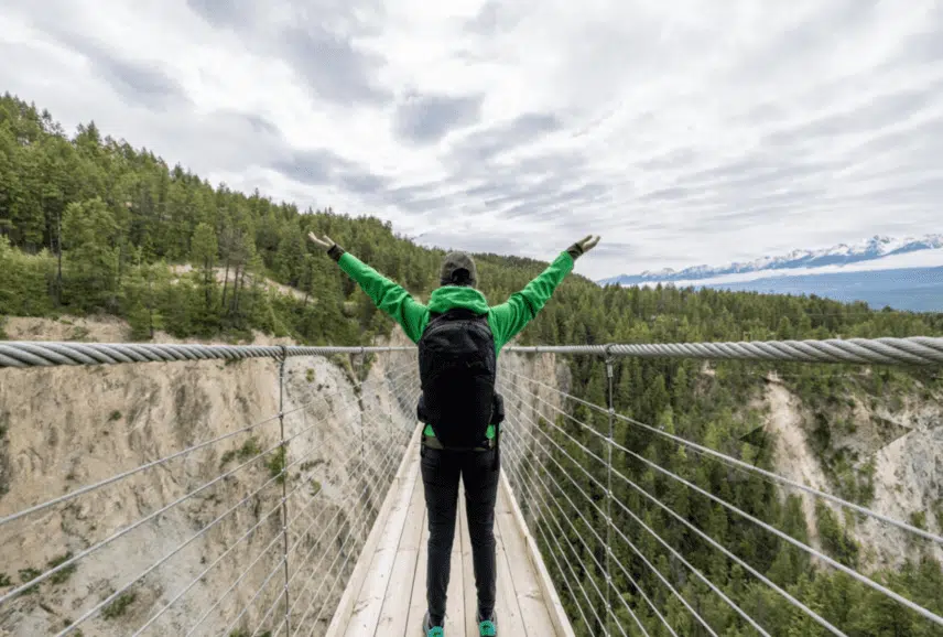 Golden Skybridge Private Day Tour